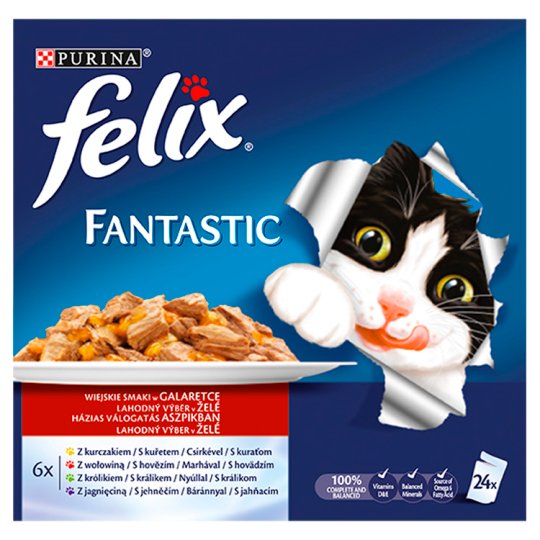 FELIX Fantastic lahodný výber v želé - multi balenie 24 x 100 g