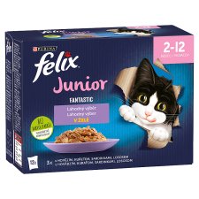 Felix® Fantastic Junior Delicious Selection 12 x 85 g